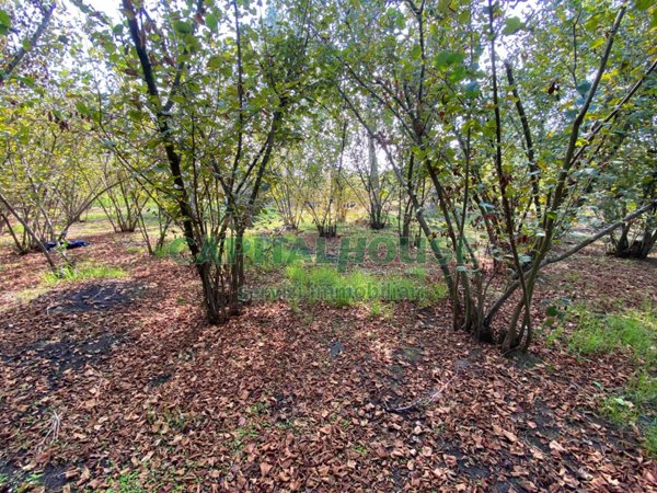 terreno agricolo in vendita a San Giuseppe Vesuviano