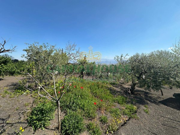 terreno agricolo in vendita a San Giuseppe Vesuviano