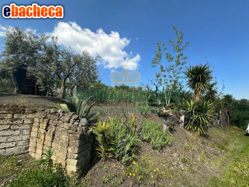 terreno agricolo in vendita a San Giuseppe Vesuviano