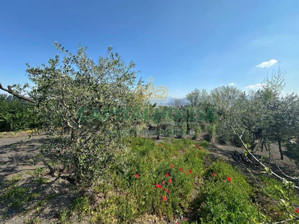 terreno agricolo in vendita a San Giuseppe Vesuviano