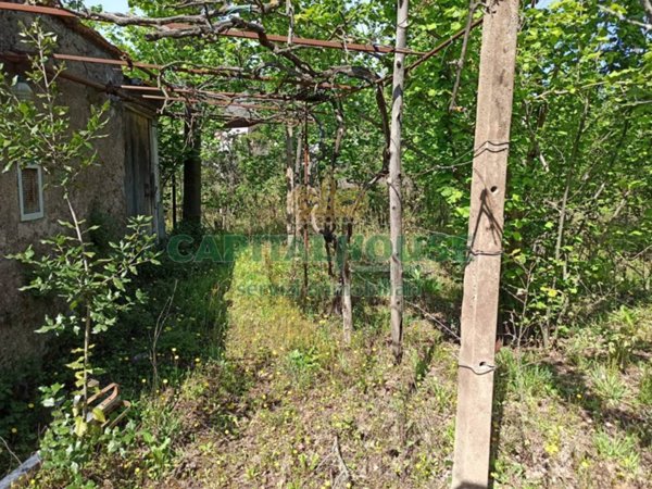 terreno agricolo in vendita a San Giuseppe Vesuviano