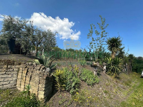 terreno agricolo in vendita a San Giuseppe Vesuviano