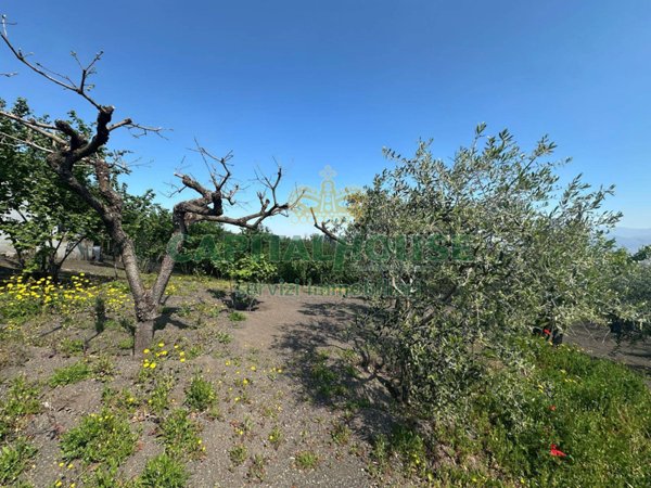 terreno agricolo in vendita a San Giuseppe Vesuviano