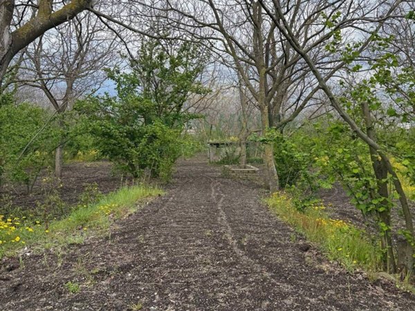 terreno agricolo in vendita a San Giuseppe Vesuviano