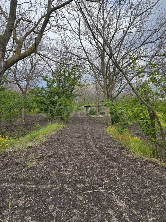terreno agricolo in vendita a San Giuseppe Vesuviano