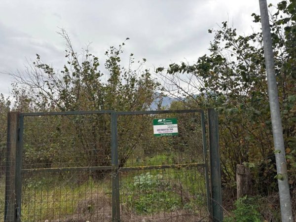 terreno agricolo in vendita a San Giuseppe Vesuviano