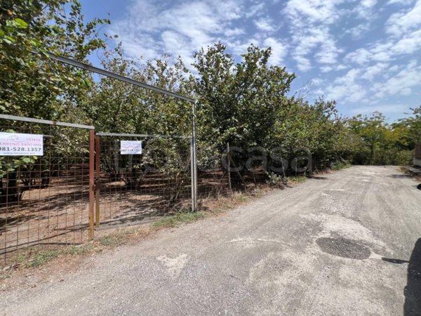 terreno agricolo in vendita a San Giuseppe Vesuviano