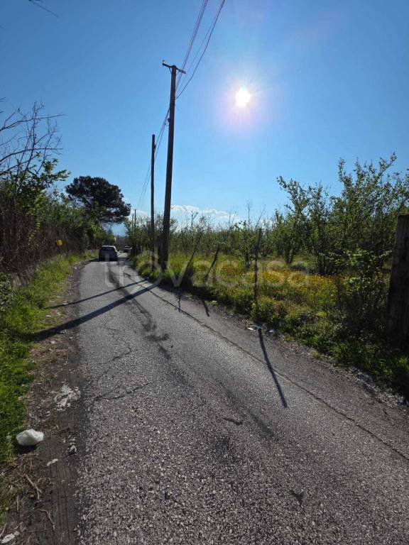 terreno agricolo a San Giuseppe Vesuviano in zona Santa Maria la Scala