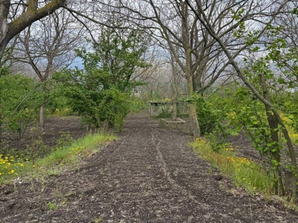 terreno agricolo in vendita a San Giuseppe Vesuviano in zona Piano Del Principe