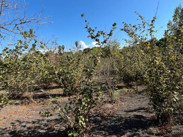 terreno agricolo a San Giuseppe Vesuviano in zona Santa Maria la Scala