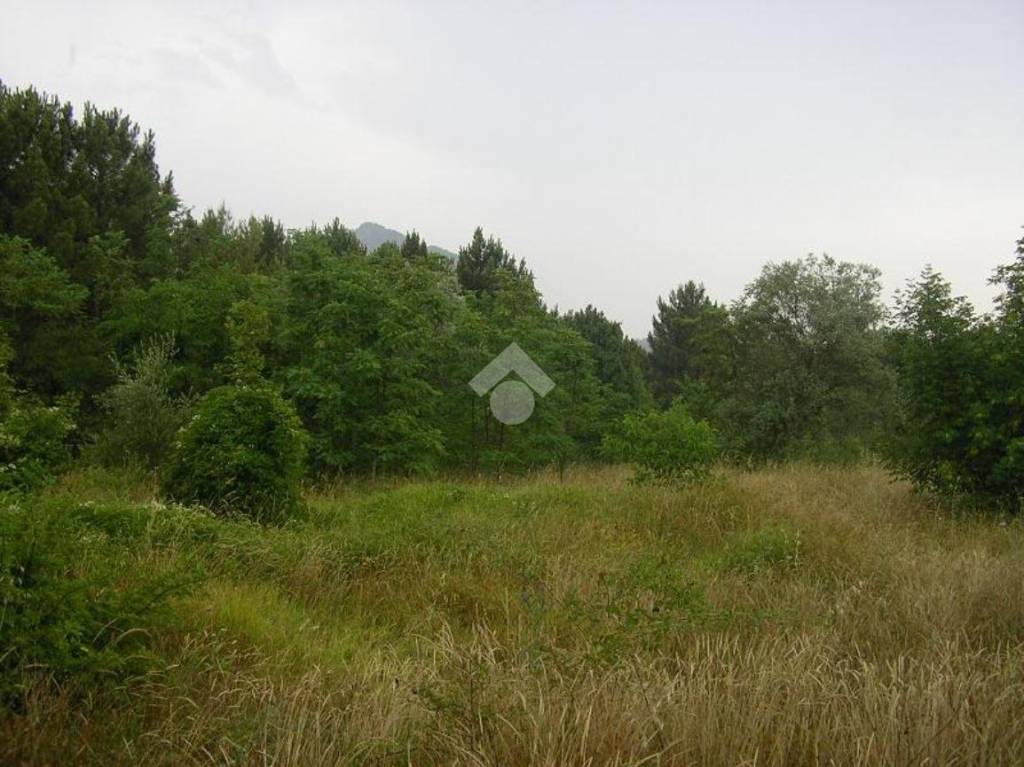 terreno agricolo in vendita a San Paolo Bel Sito