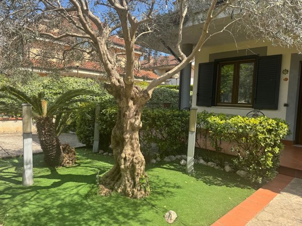 casa indipendente in vendita a San Paolo Bel Sito