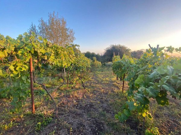 terreno agricolo in vendita a San Sebastiano al Vesuvio