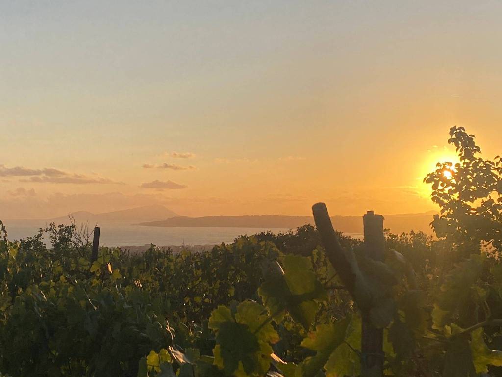 terreno agricolo in vendita a San Sebastiano al Vesuvio