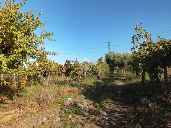 locale commerciale in vendita a San Sebastiano al Vesuvio