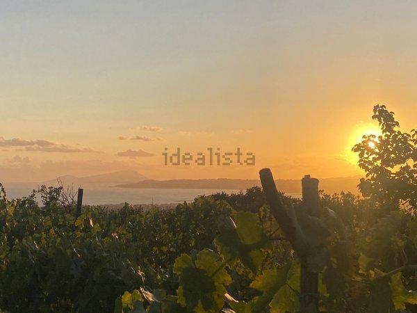 terreno agricolo in vendita a San Sebastiano al Vesuvio
