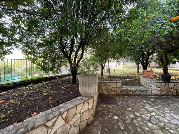 immagine annuncio 0 di 15