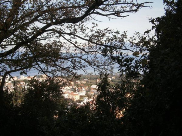 terreno agricolo in vendita a Sant'Agnello