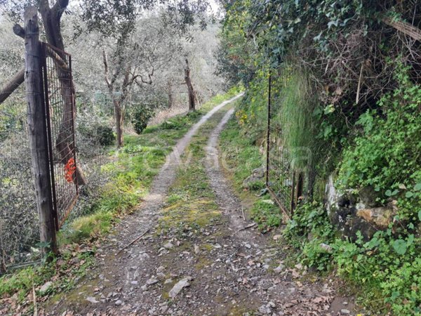 terreno agricolo in vendita a Sant'Agnello