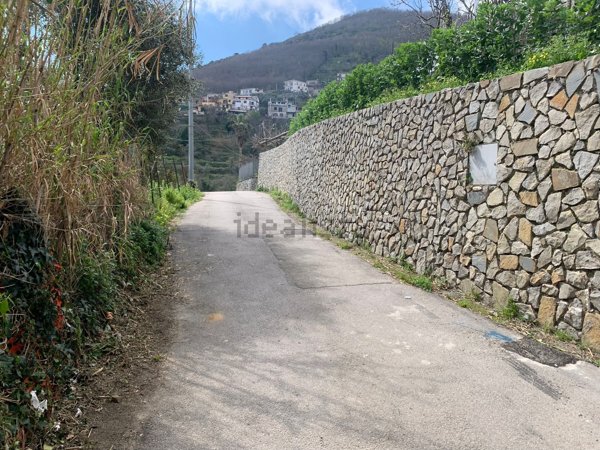 terreno agricolo in vendita a Sant'Agnello