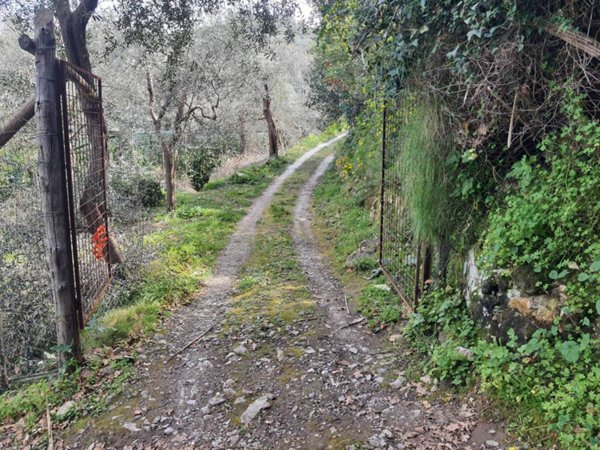 terreno agricolo in vendita a Sant'Agnello