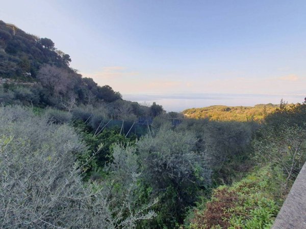 terreno agricolo in vendita a Sant'Agnello
