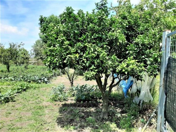 casa indipendente in vendita a Sant'Anastasia
