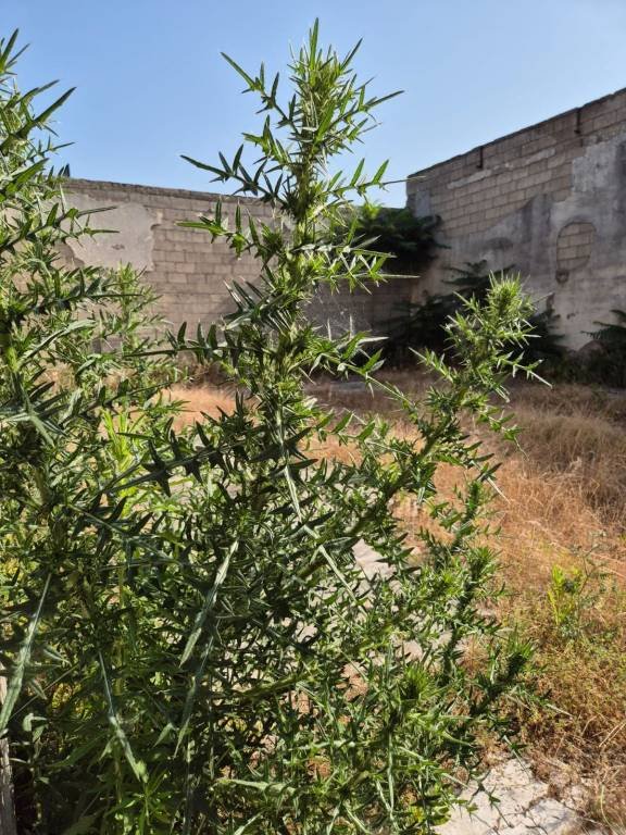 capannone in vendita a Sant'Anastasia
