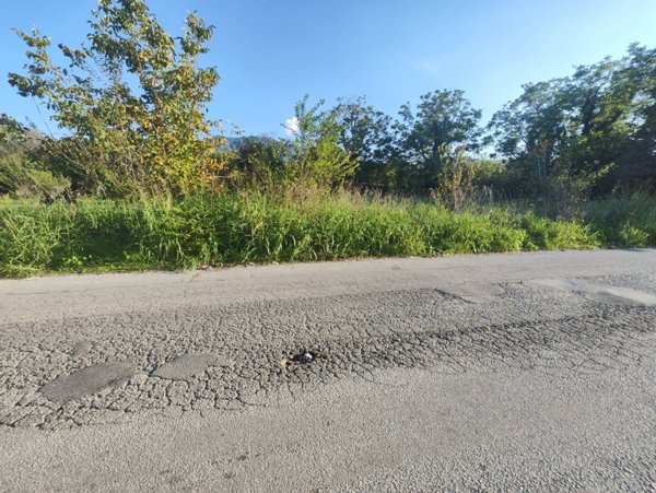 immagine annuncio 0 di 1