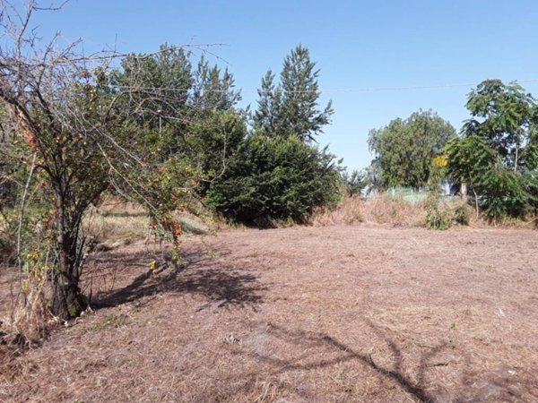 terreno agricolo in vendita a Sant'Anastasia