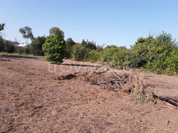 terreno agricolo in vendita a Sant'Anastasia