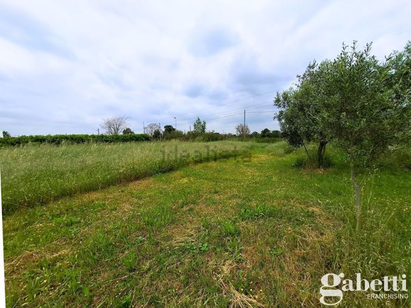 terreno agricolo in vendita a Sant'Anastasia