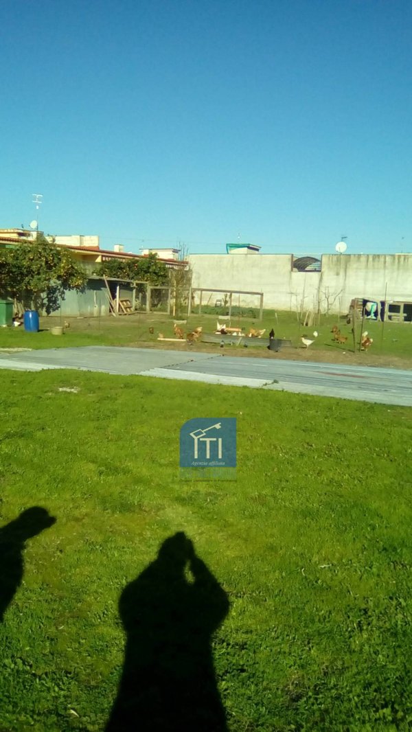 immagine annuncio 0 di 10