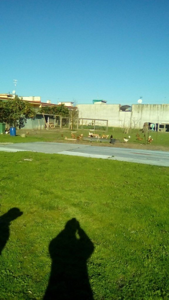 terreno agricolo in vendita a Sant'Antimo
