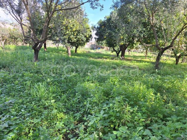 casa indipendente in vendita a Sant'Antonio Abate