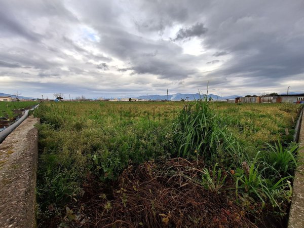 terreno agricolo in vendita a Sant'Antonio Abate