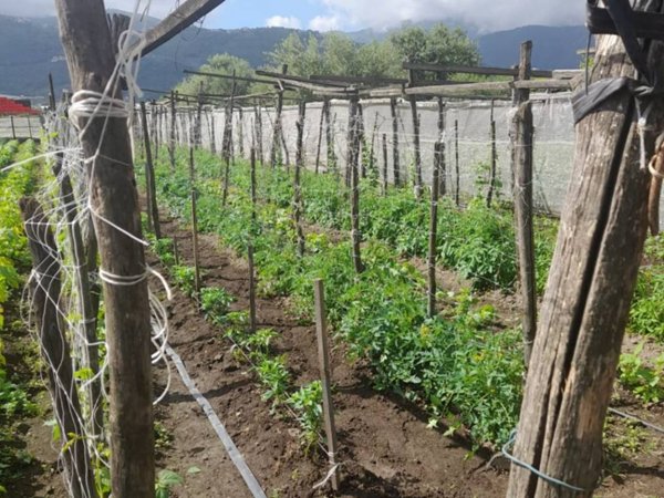 terreno agricolo in vendita a Sant'Antonio Abate