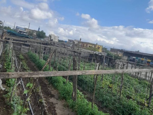 terreno agricolo in vendita a Sant'Antonio Abate