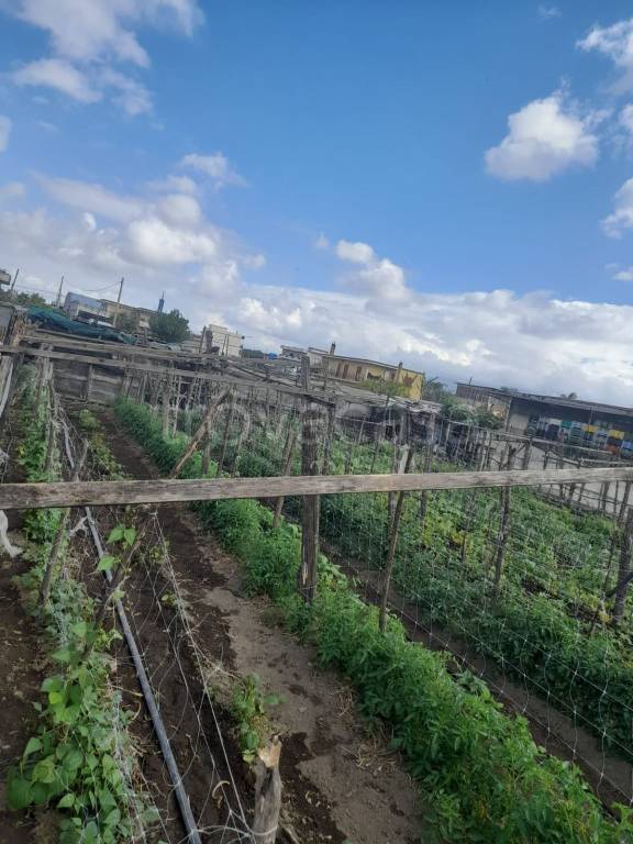 terreno agricolo in vendita a Sant'Antonio Abate