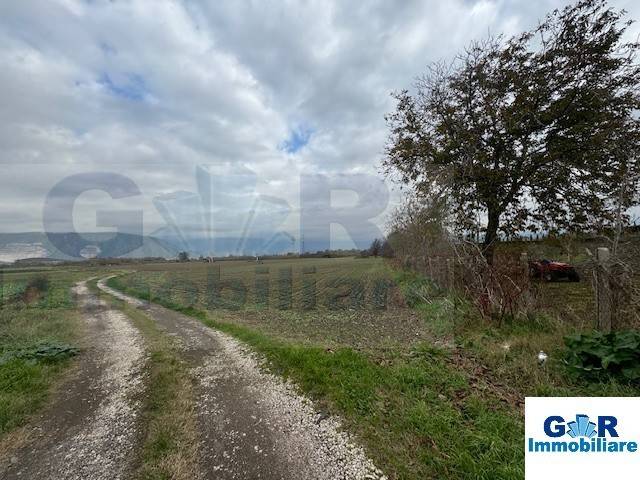 terreno agricolo in vendita a San Vitaliano