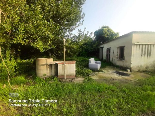 terreno agricolo in vendita a San Vitaliano
