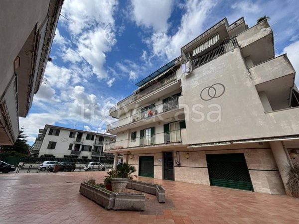 appartamento in vendita a San Vitaliano