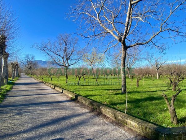 terreno agricolo in vendita a Saviano