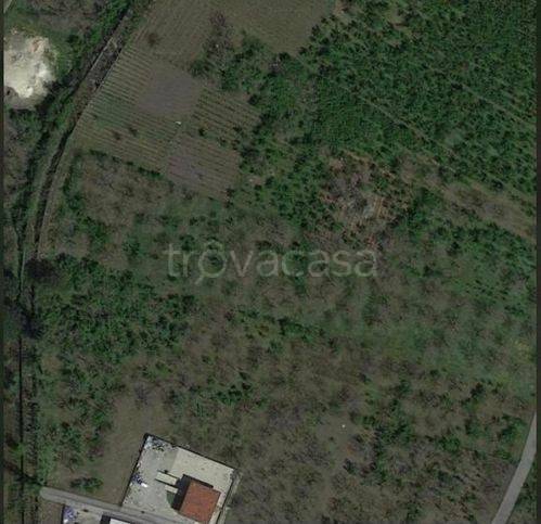 terreno agricolo in vendita a Saviano