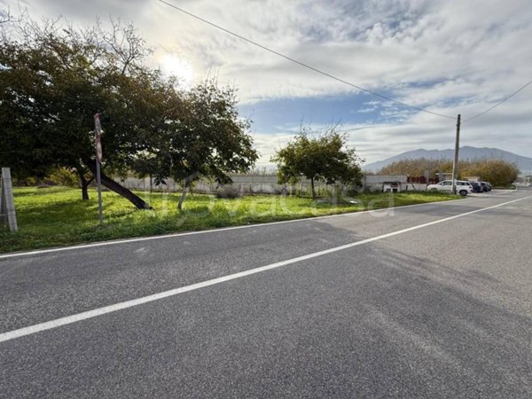 terreno agricolo in vendita a Saviano in zona Cerreto