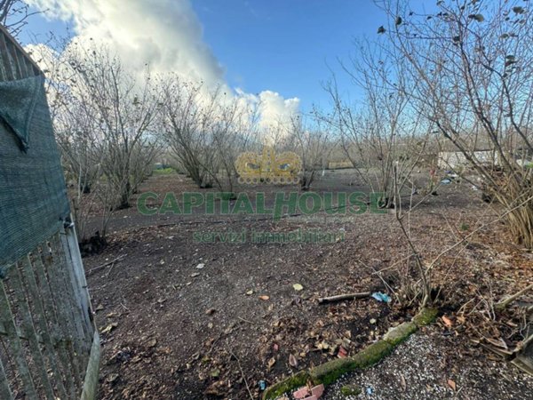 terreno agricolo in vendita a Saviano