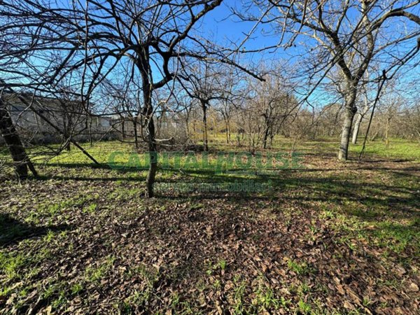 terreno agricolo in vendita a Saviano