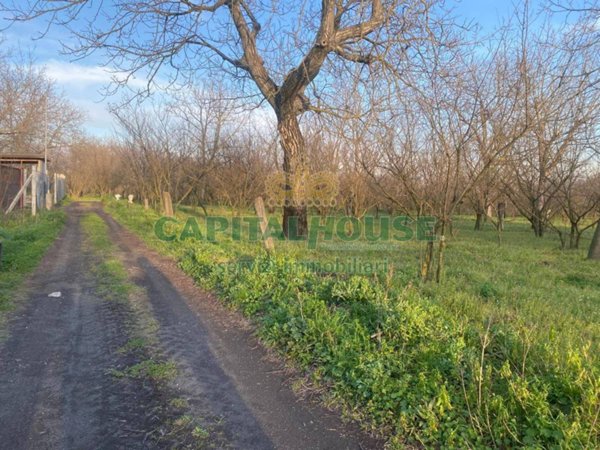terreno agricolo in vendita a Saviano