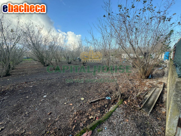 terreno agricolo in vendita a Saviano