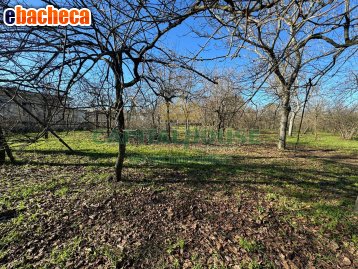 terreno agricolo in vendita a Saviano